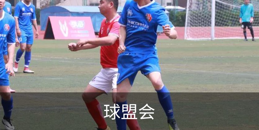 关于球盟会